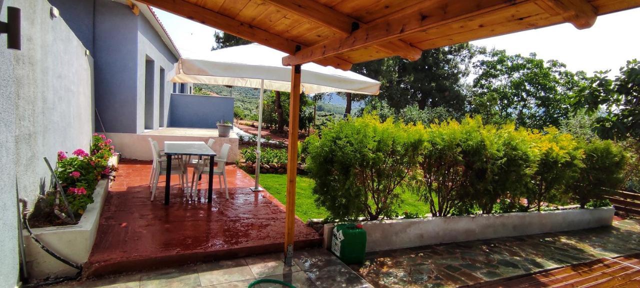 Bay Apartamento
