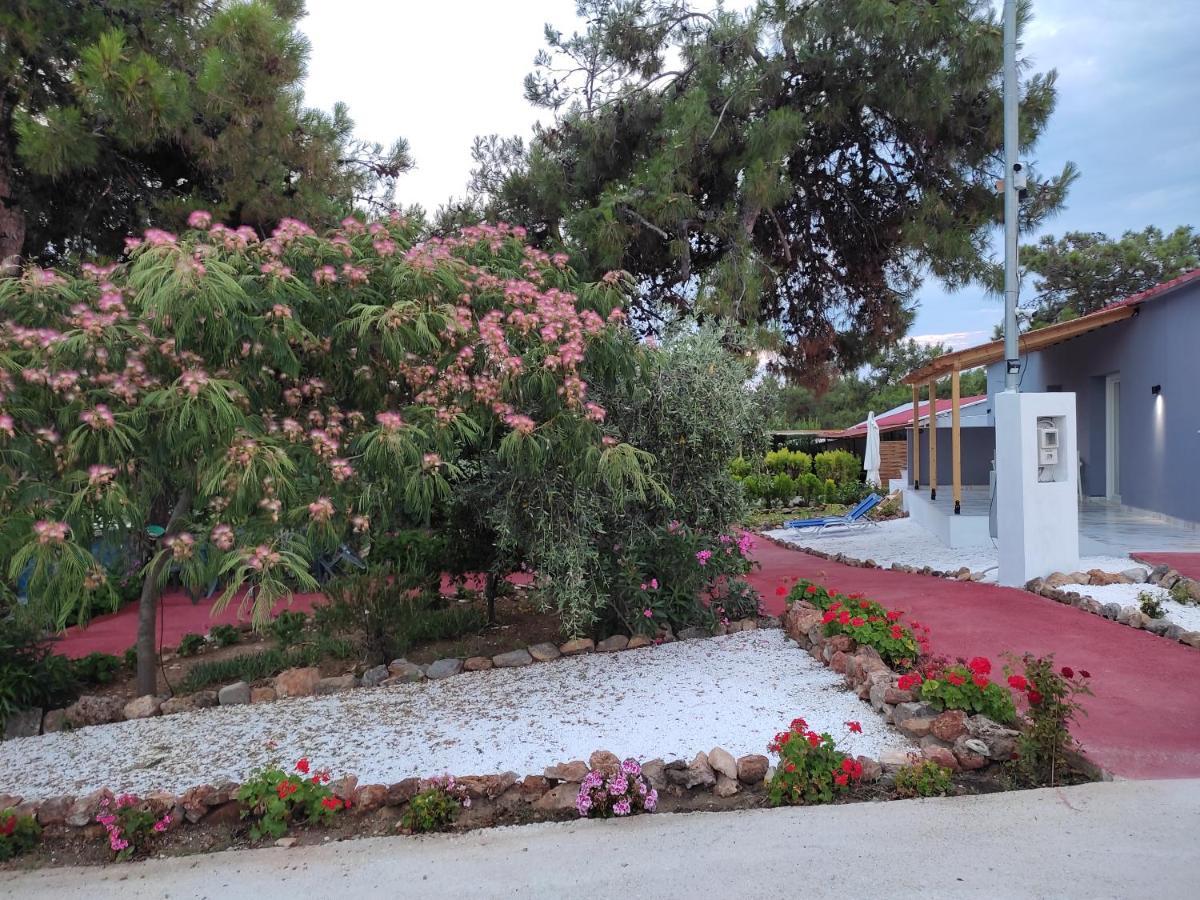 Bay Apartamento
