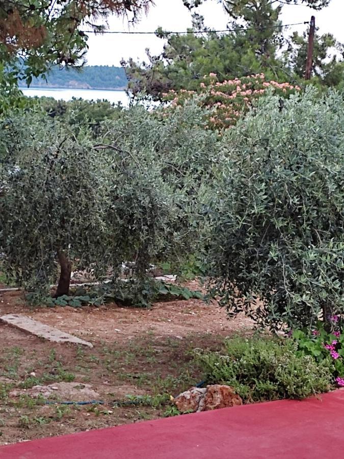 Appartement Bay Pefkari